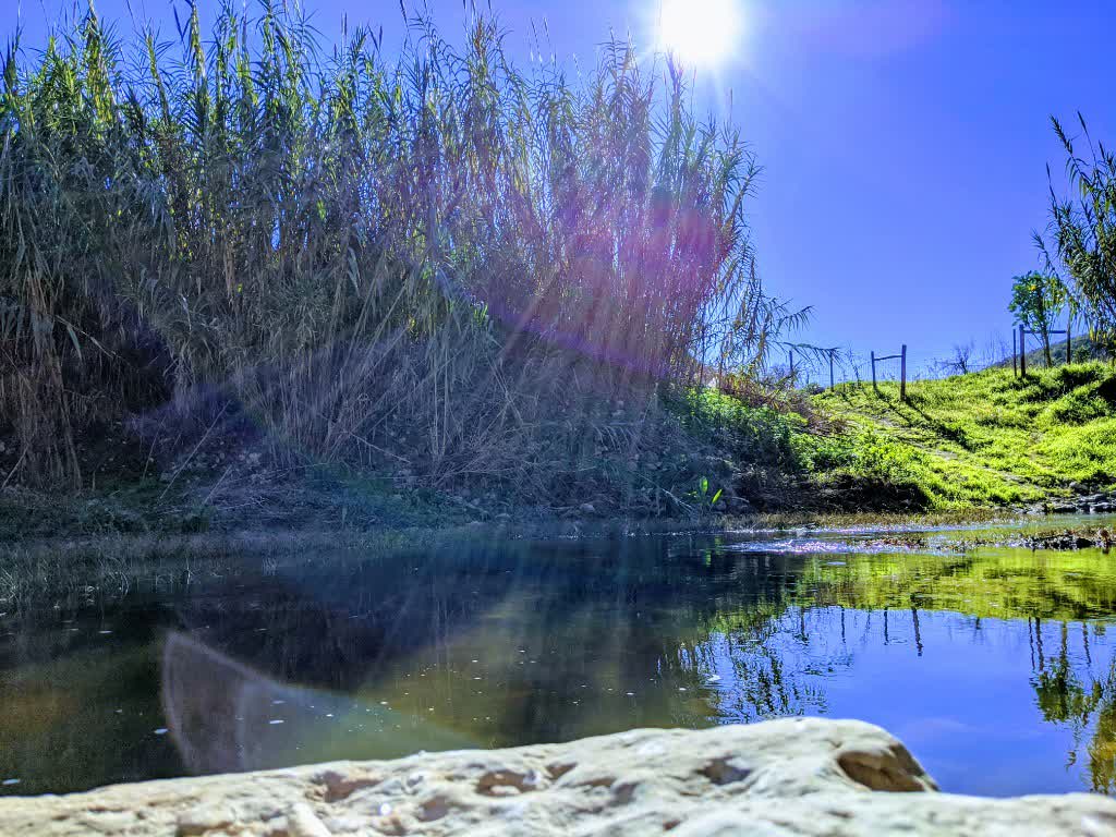 /gallery/2020-01 lisandro river.jpeg